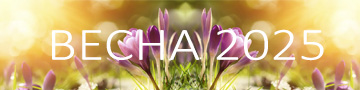 spring-2025-banner